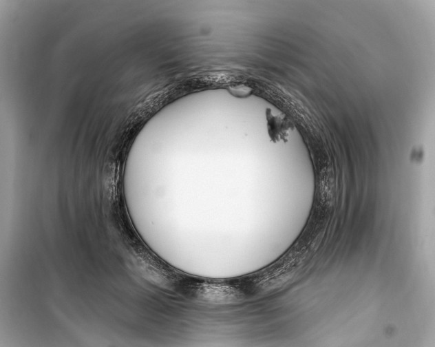 X0000099320605200805231426