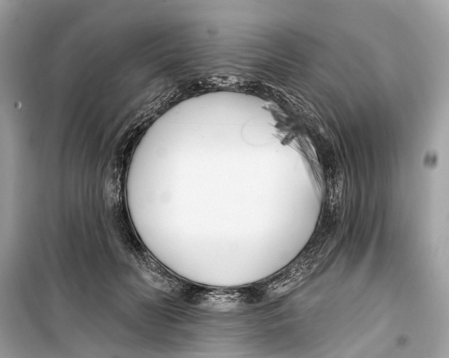 X0000099320606200805231426