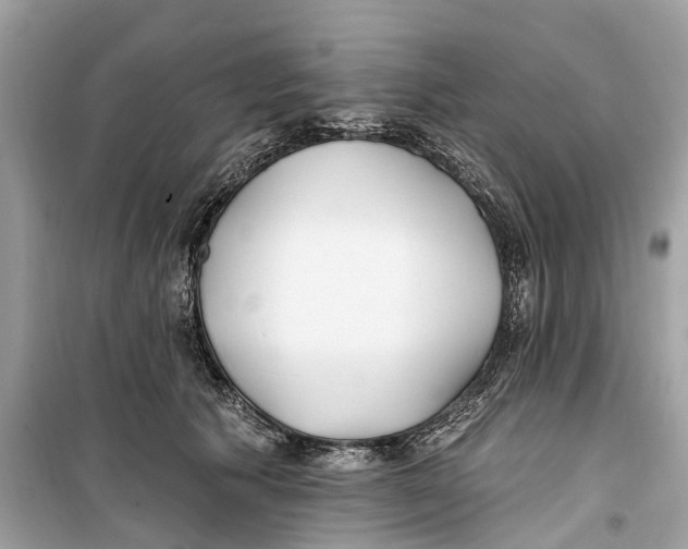 X0000099320609200805231426