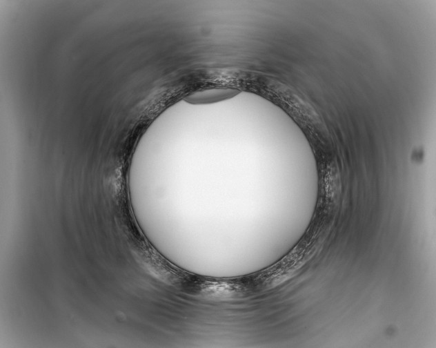 X0000099320611200805231426