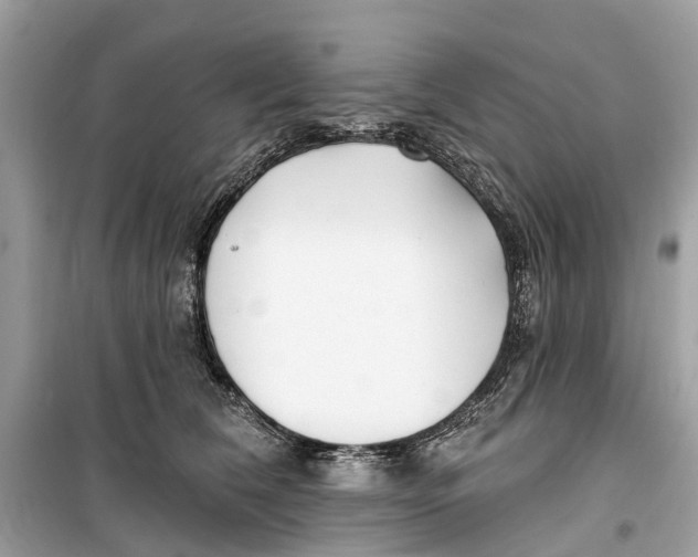 X0000099320612200805231426