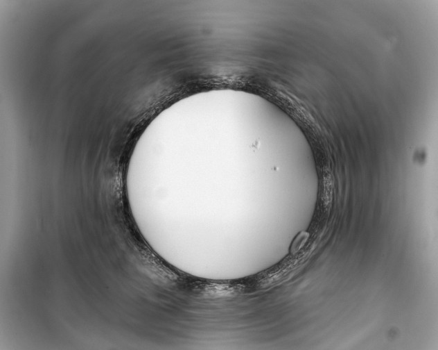 X0000099320613200805231426