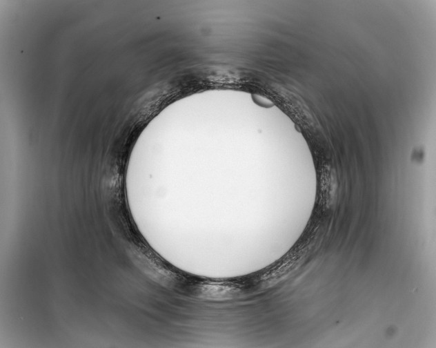 X0000099320614200805231426