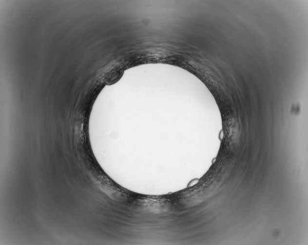 X0000099320615200805231426