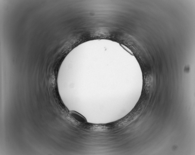 X0000099320617200805231426