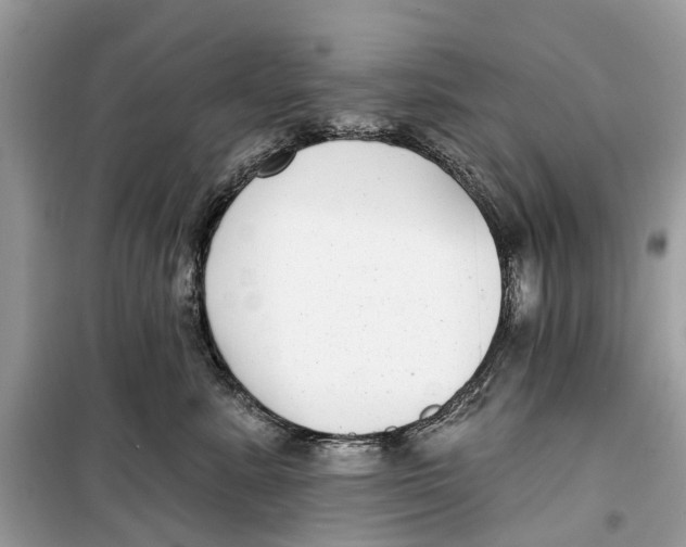 X0000099320619200805231426