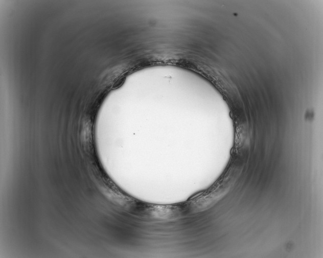 X0000099320623200805231426