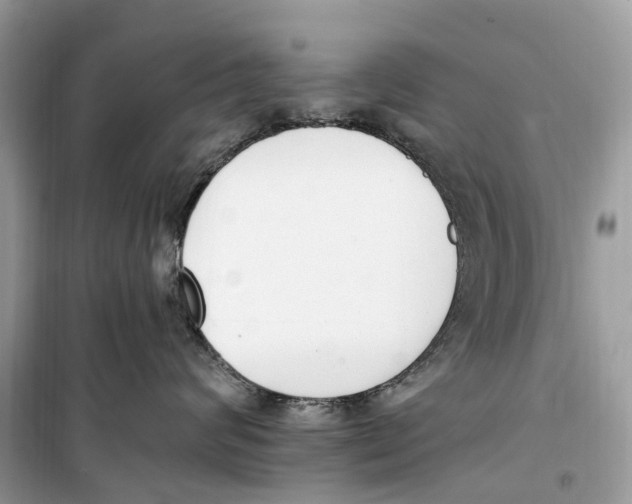 X0000099320624200805231426