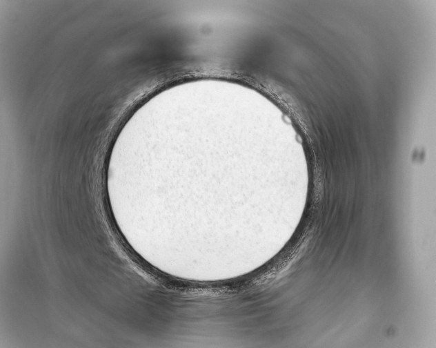 X0000099320625200805231425