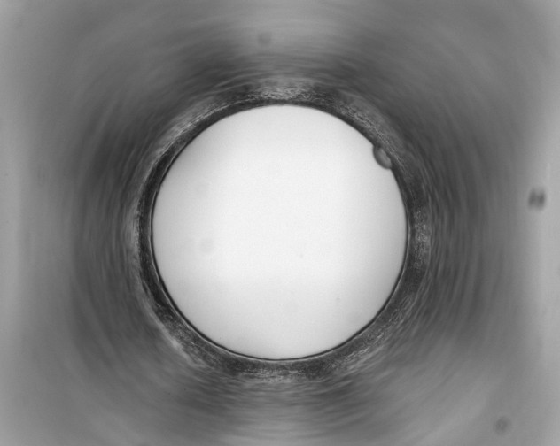 X0000099320626200805231425