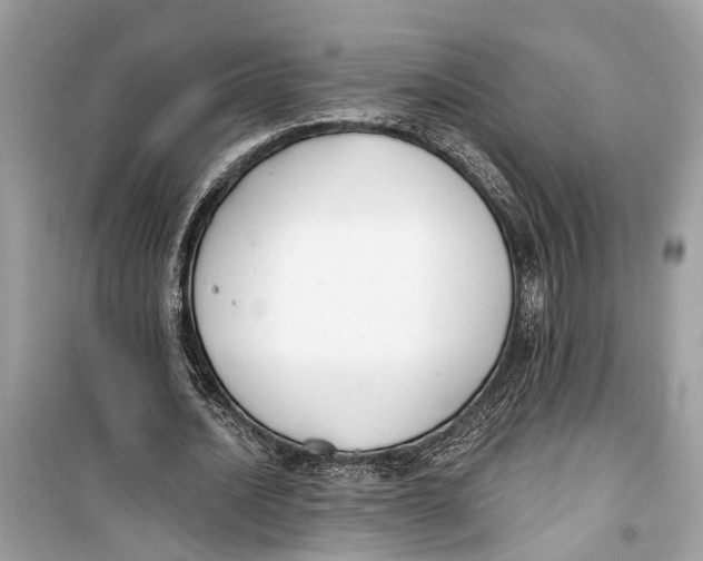 X0000099320628200805231425