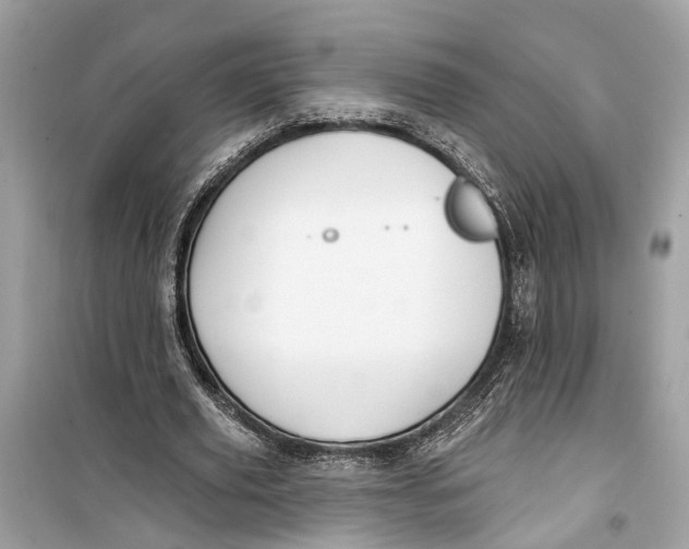 X0000099320629200805231425