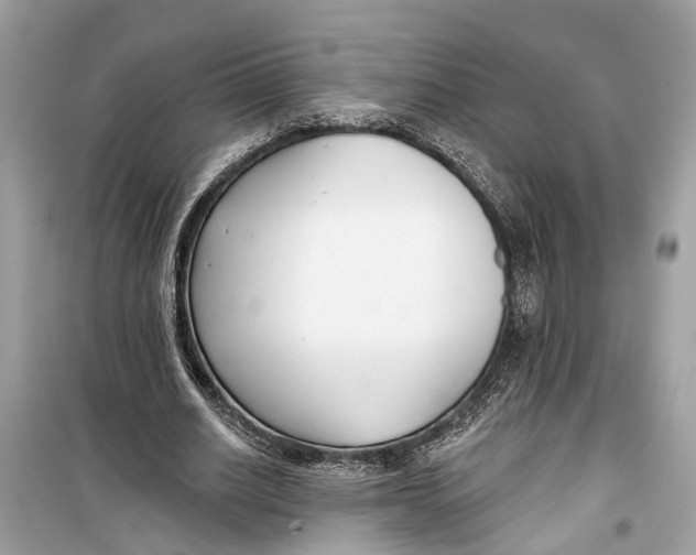 X0000099320630200805231425