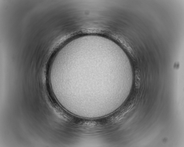 X0000099320631200805231425