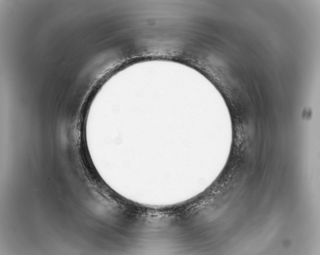 X0000099320632200805231425