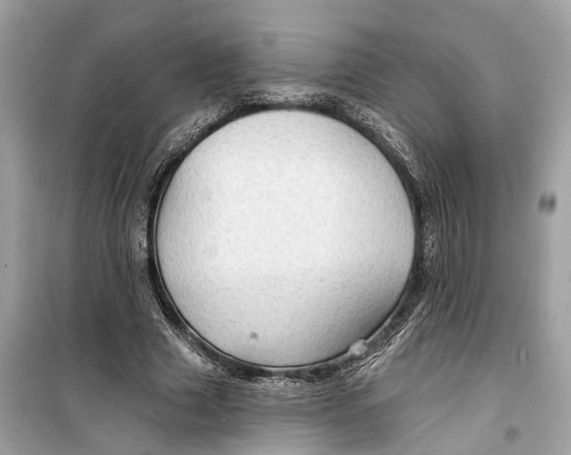 X0000099320633200805231425