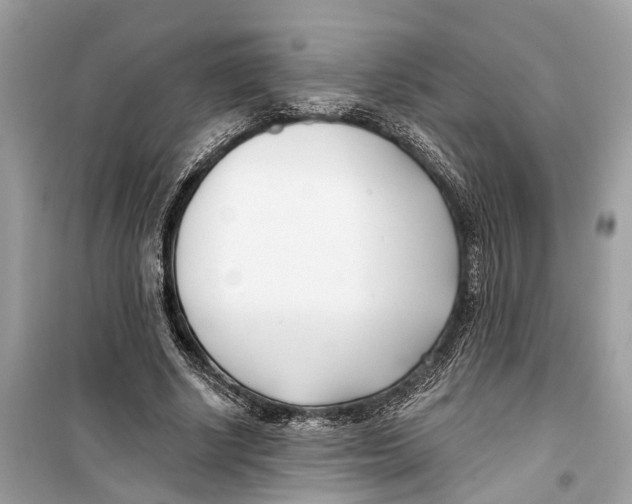 X0000099320634200805231425