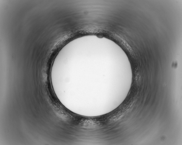 X0000099320635200805231425