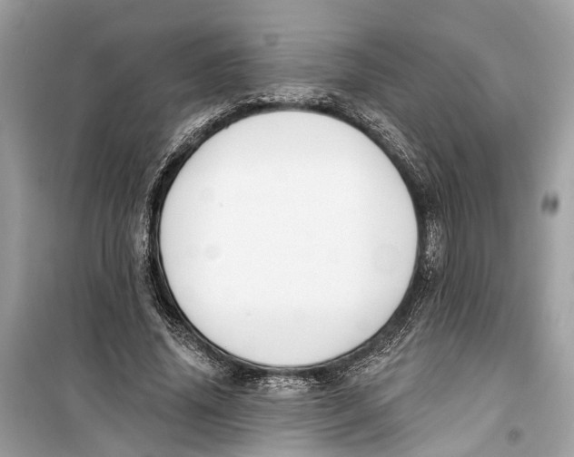 X0000099320636200805231425