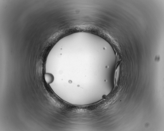 X0000099320637200805231425