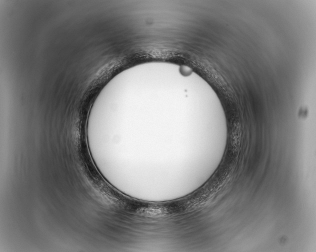 X0000099320639200805231425