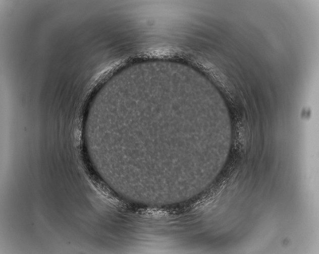 X0000099320640200805231425