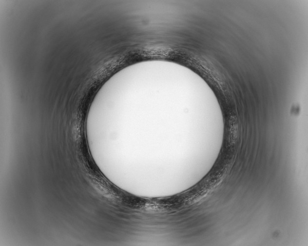 X0000099320641200805231425