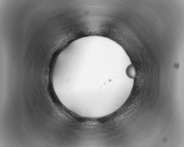 X0000099320642200805231425