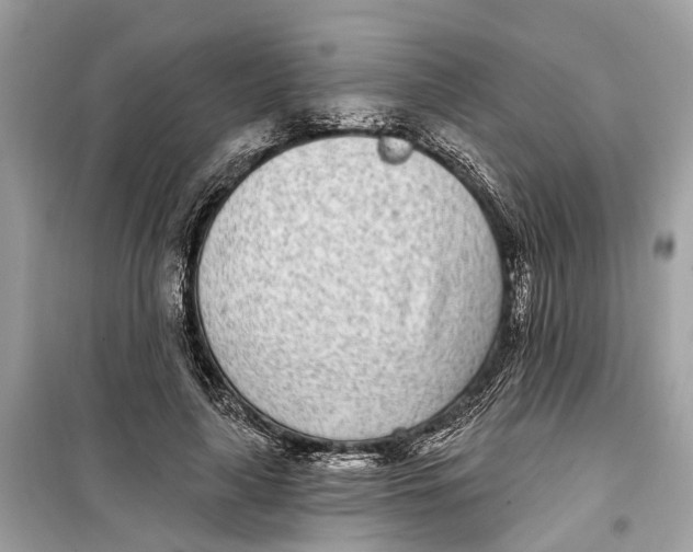 X0000099320643200805231425