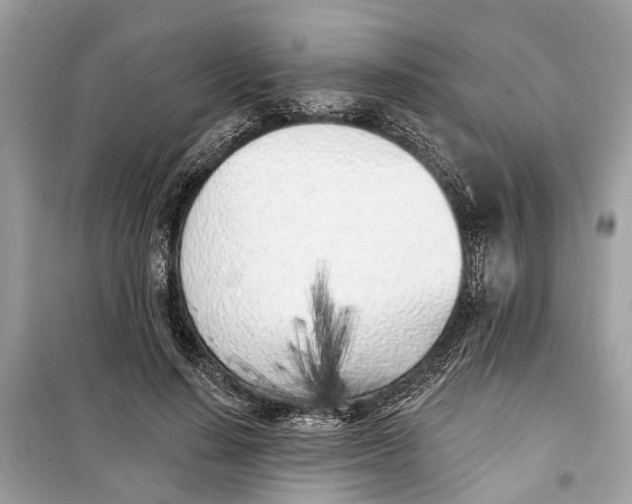 X0000099320644200805231426