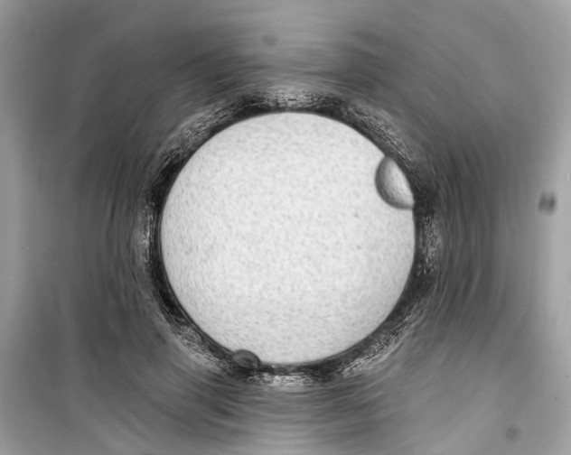 X0000099320645200805231426