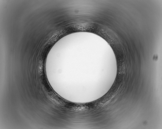 X0000099320646200805231426