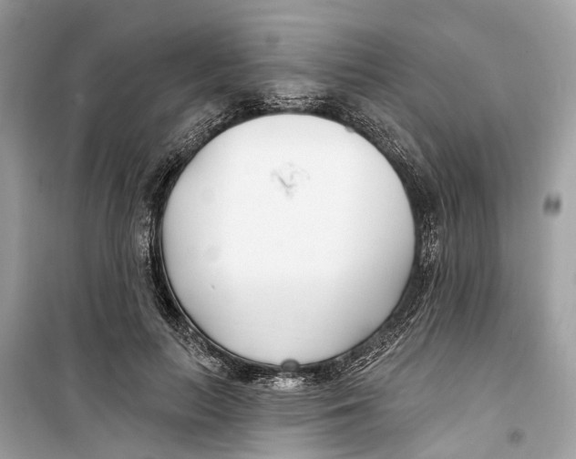 X0000099320647200805231426