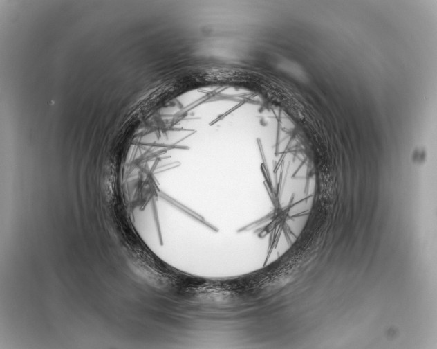 X0000099320648200805231426