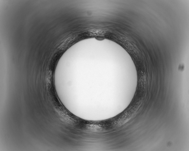 X0000099320649200805231426