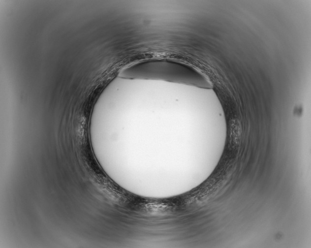 X0000099320650200805231426