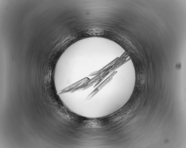 X0000099320652200805231426