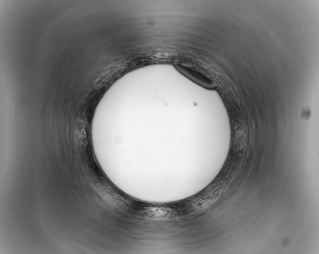 X0000099320654200805231426