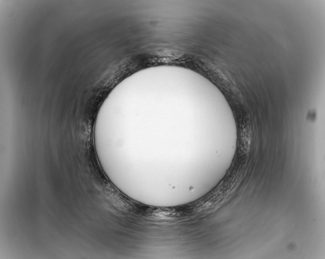 X0000099320657200805231426