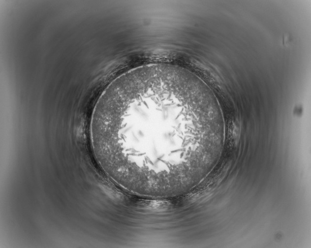 X0000099320663200805231426