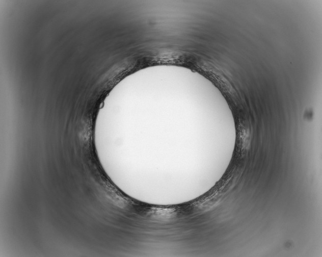 X0000099320665200805231426