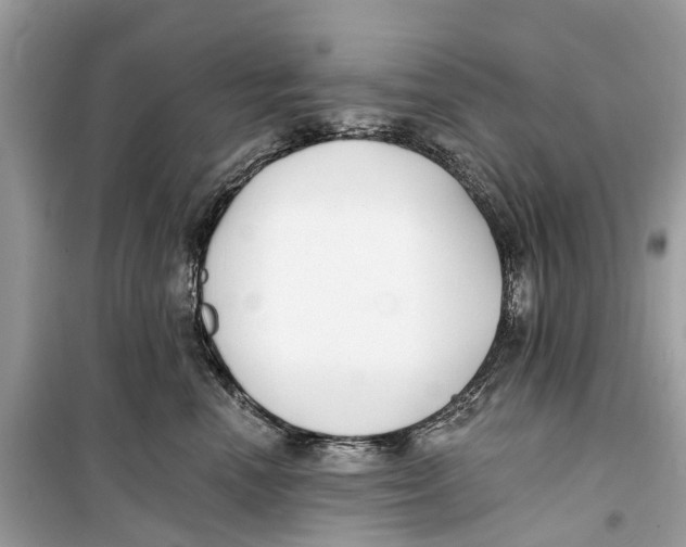 X0000099320666200805231426