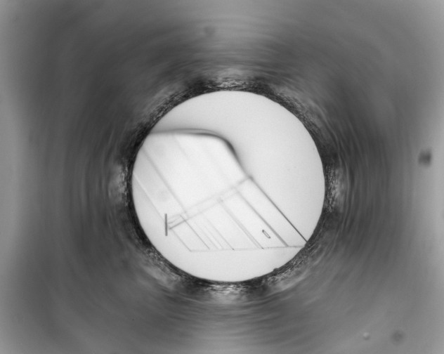 X0000099320667200805231426