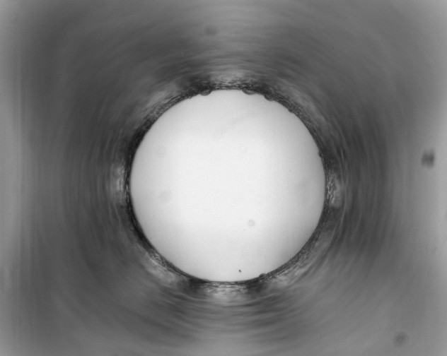 X0000099320670200805231426