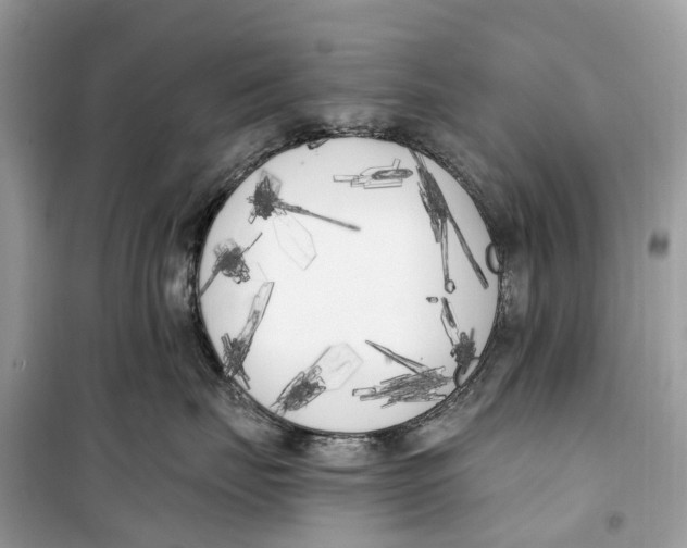 X0000099320671200805231426