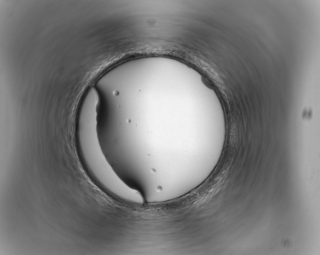 X0000099320673200805231425