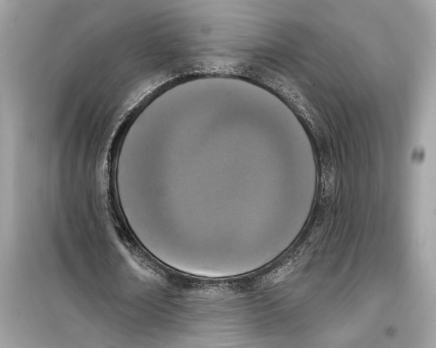 X0000099320674200805231425