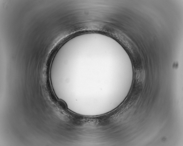 X0000099320676200805231425