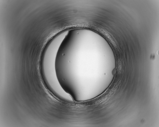 X0000099320677200805231425