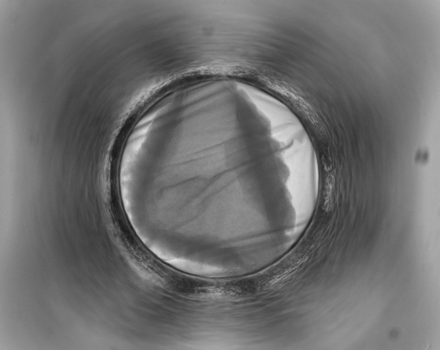 X0000099320678200805231425